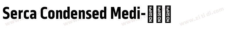 Serca Condensed Medi字体转换